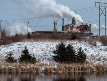 Province releases draft terms for Northern Pulp's environmental assessment report